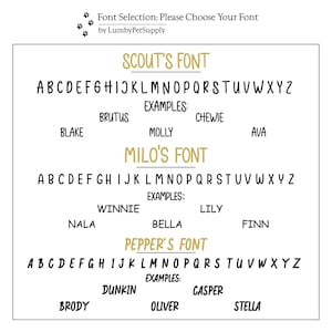 Font selection options for the horse bridle tags.
