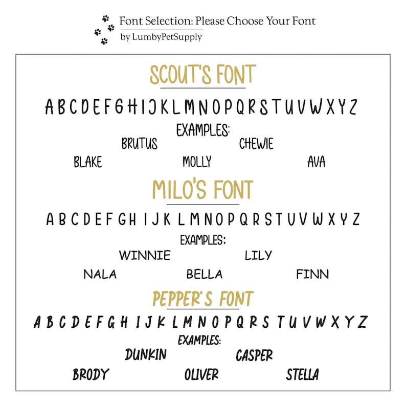 Font selection options for the horse bridle tags.