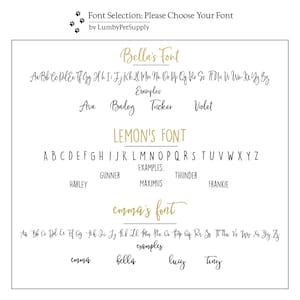 Font selection options for the horse bridle tags.