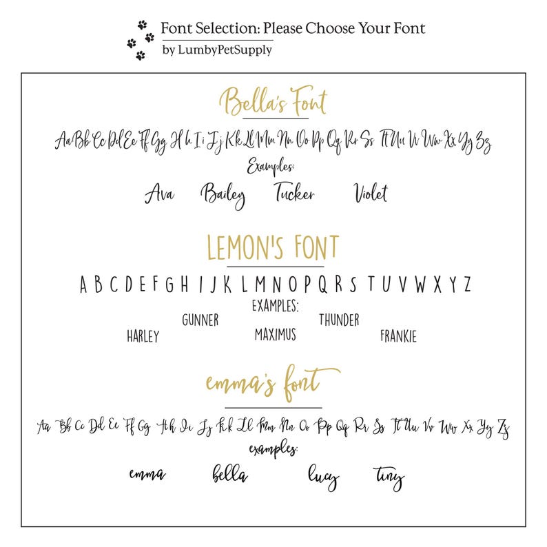 Font selection options for the horse bridle tags.