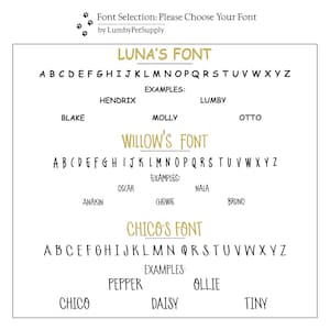 Font selection options for the horse bridle tags.
