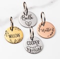 Personalized Stainless Steel Pet ID Tag: Engraved Dog & Cat Name