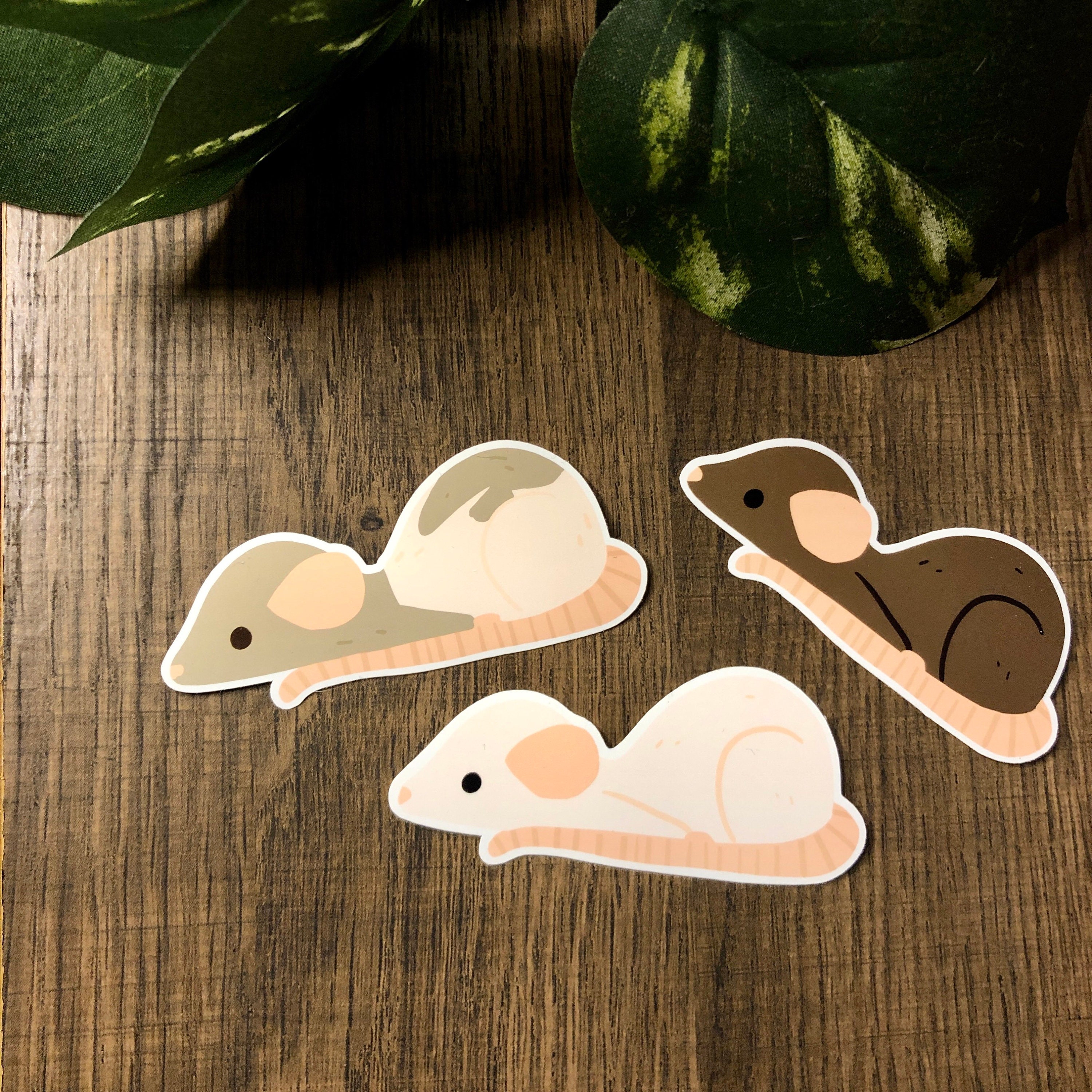 Pet Rat Sticker Mouse Gift Rat Gift Rodent Stickers Cute Etsy
