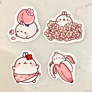 Cute Pink Theme Molang Stickers, Flower Molang, Peach Molang, Banana Molang, Hawaii Molang, Rabbit Sticker, Planner Sticker, Journal Sticker