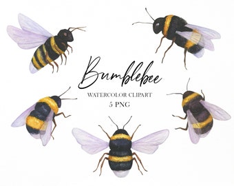 Bee aquarel clip art, Honingbij baby douche uitnodiging, Bee png, Insecten clipart