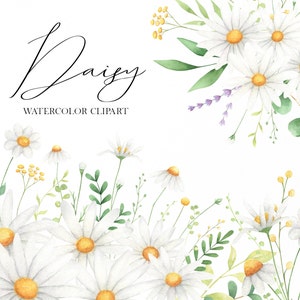 Clipart acquerello margherita, clipart floreale di fiori di campo, bouquet di arrangiamenti di nozze png, clipart estiva di camomilla