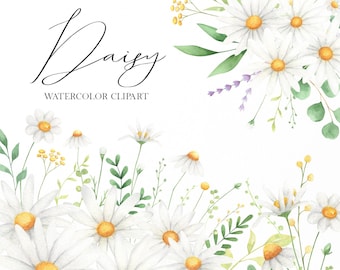 Daisy watercolor clipart, Wildflowers floral clip art, Wedding arrangement bouqets png, Chamomile summer clipart