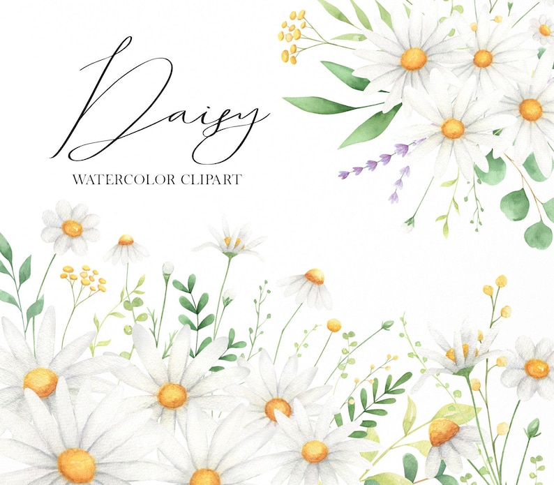 Może przedstawiać: Klipart akwarelowy z obramowaniem z białych stokrotek z ż&oacute;łtymi środkami i zielonymi liśćmi. Tekst "Daisy Watercolor Clipart" jest napisany czarnym kursywą u g&oacute;ry obrazu.