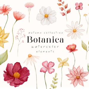 Clipart ad acquerello floreale, Fiori secchi autunnali png, Clipart fiori selvatici prato, Clipart fai-da-te, Download digitale
