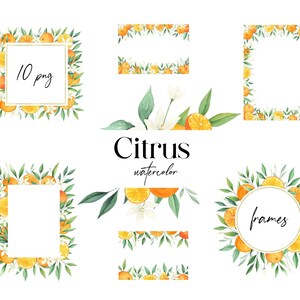 Watercolor Citrus frames png, Orange clipart, Summer citrus clipart,  Gold frames png, Burnt orange wedding invitation clipart