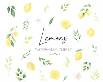Watercolor Lemons clipart, Summer citrus greenery clipart png, Lemon bridal shower wedding invitation, DIY clipart