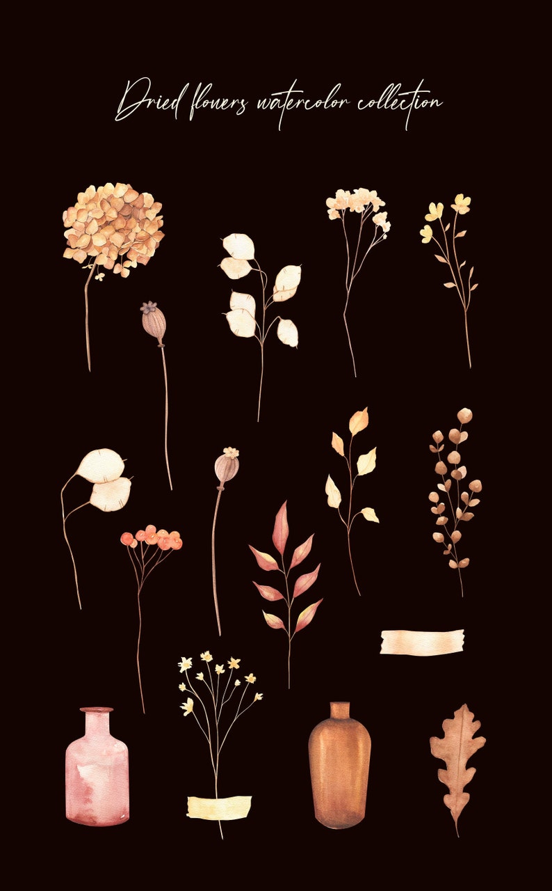 Torkade höstblommor boho clipart, höstblommor png, boho eukalyptushortensia clipart, heminredning png bild 3