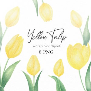 Aquarel Tulip illustraties, gele tulpen png, lente bloemen clipart, DIY Pasen bloemen clipart, bloemen bruiloft uitnodiging