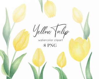 Watercolor Tulip clip art, Yellow tulips png, Spring flowers clipart, DIY Easter floral clipart, Floral wedding invitation