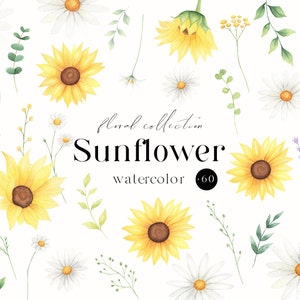 Tournesol clipart aquarelle, Daisy clipart png, tournesol bouquet png clipart, faire-part de mariage, bricolage clipart, clipart floral fleurs sauvages