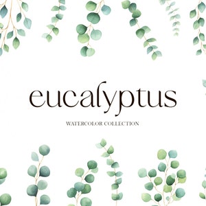 Eucalyptus watercolor clipart, Wedding invitation eucalyptus frame, Watercolor greenery Eucalyptus wreath, Watercolor greenery clipart