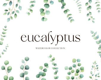 May include: Watercolor illustration of eucalyptus leaves in shades of green on a white background. The text "eucalyptus watercolor collection" is written in black below the leaves.