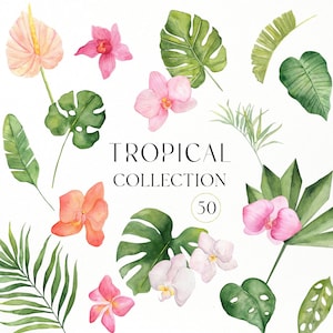 Tropical watercolor clipart, Tropical greenery png, Tropical floral clip art, Summer clipart, Tropical digital paper, Jungle Clipart