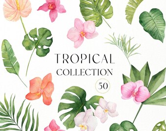 Può includere: Illustrazioni ad acquerello di fiori e foglie tropicali, tra cui orchidee rosa, ibisco rosa e arancio, orchidee bianche e varie foglie verdi. Il testo "TROPICAL COLLECTION 50" è scritto in nero.