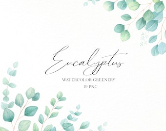 Clipart de eucalipto de acuarela, Marco de eucalipto de invitación de boda, Clipart de vegetación de acuarela, Ramo de ramas de hojas de eucalipto png