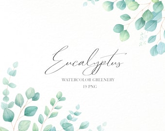 Watercolor eucalyptus clipart, Wedding invitation eucalyptus frame, Watercolor greenery clipart, Eucalyptus leaves branch bouquet png