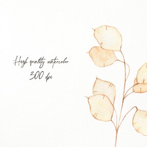 Torkade höstblommor boho clipart, höstblommor png, boho eukalyptushortensia clipart, heminredning png bild 4