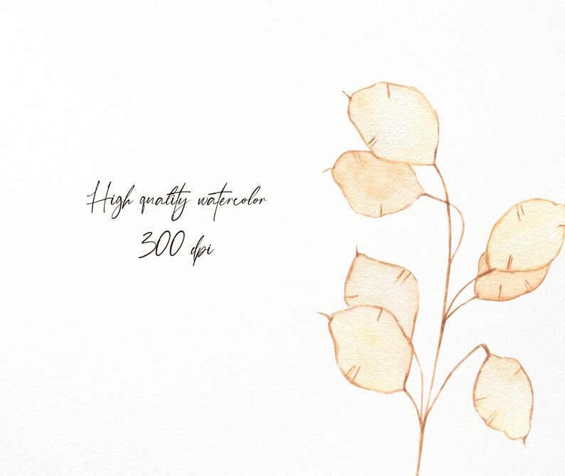 Torkade höstblommor boho clipart, höstblommor png, boho eukalyptushortensia clipart, heminredning png bild 4