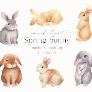 Bunny clipart watercolor, Easter bunny clipart, Spring baby bunny png, Baby shower invitation, Easter rabbit watercolor png