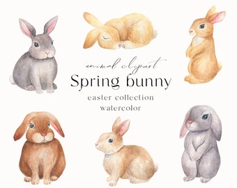 Bunny clipart watercolor, Easter bunny clipart, Spring baby bunny png, Baby shower invitation, Easter rabbit watercolor png