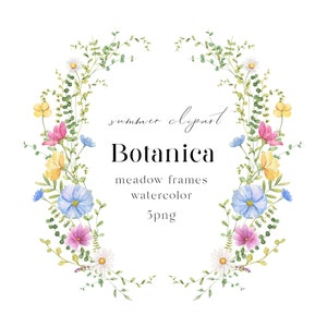 Wildblumen Rahmen png, Sommer Blumen Rahmen Aquarell Clipart, Baby-Dusche Hochzeit Einladung Rahmen Clipart, rustikaler Rahmen png