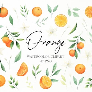 Orange watercolor clipart, Citrus wedding invitation, Summer citrus clipart,  Burnt orange png, Tangerine watercolor png