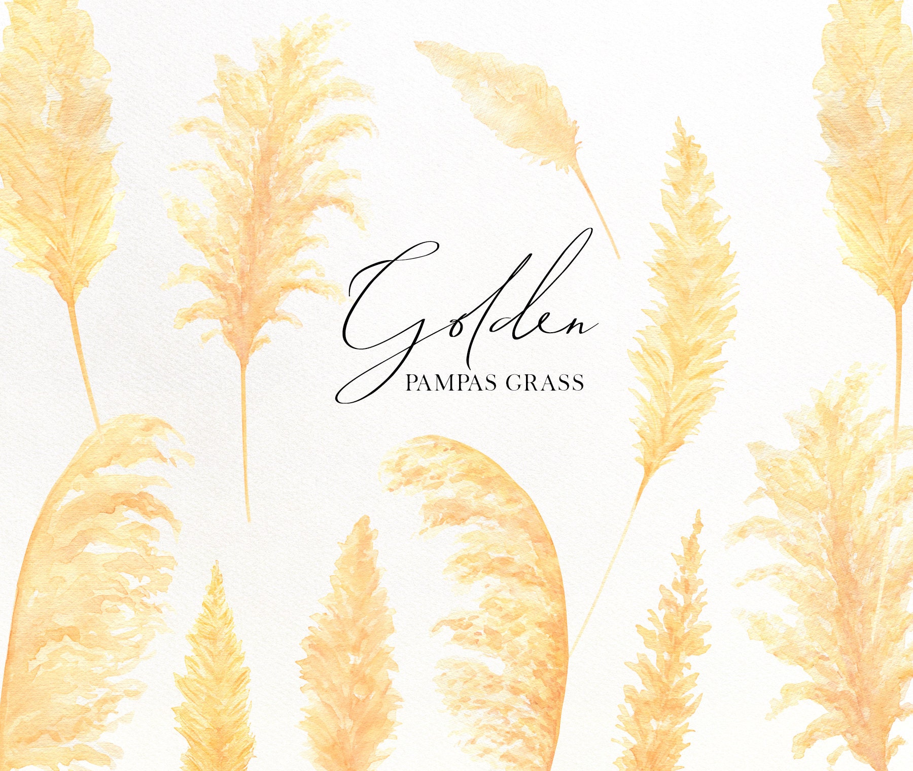 Pampas Grass Png, Watercolor Golden Pampas Grass Clipart, Bohemian