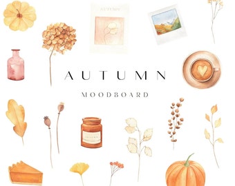 Autumn watercolor clipart, Fall leaves thanksgiving clipart, Cozy autumn pumpkin png, Autumn stickers