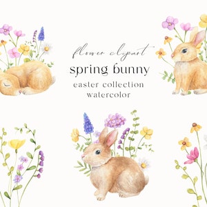Frühling Hase Blumen Aquarell, Clipart, Ostern Hase Clipart, Frühling Wildblumen png, Sommer Kränze Clipart, Frühlingssträuße png