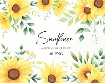 Sunflower wedding invitation floral letters numbers sunflowers summer fall clipart PNG Concept Sunflower watercolor Alphabet clipart