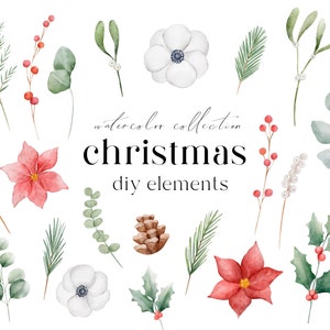 Winter floral watercolor clipart, Winter Holiday Christmas png, Christmas greenery DIY clipart