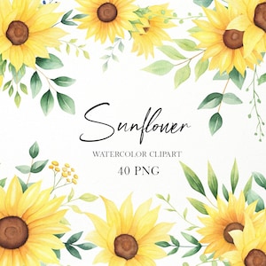 Tournesol png clipart aquarelle, tournesol bouquet png clipart, faire-part de mariage tournesol, bricolage clipart, verdure png