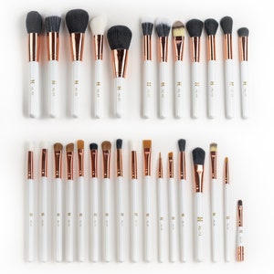 Makeup Brush Set: 29 High-Density, Synthetic & Natural Fiber Brushes