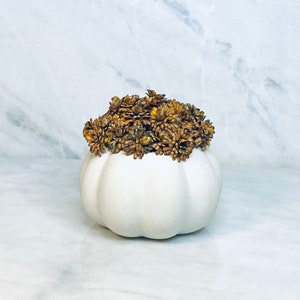 May include: A white ceramic pumpkin-shaped container filled with dried, brown-toned flowers. The pumpkin has a smooth, matte finish and is a decorative item for fall or autumn-themed decor.
