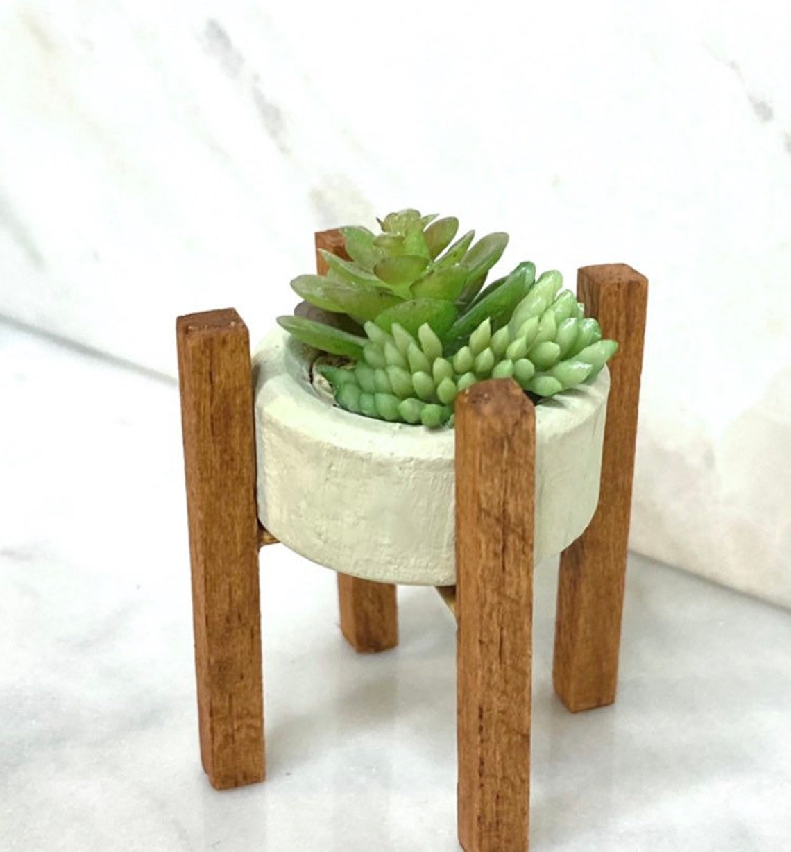 Miniature Succulent Planter Stand Etsy