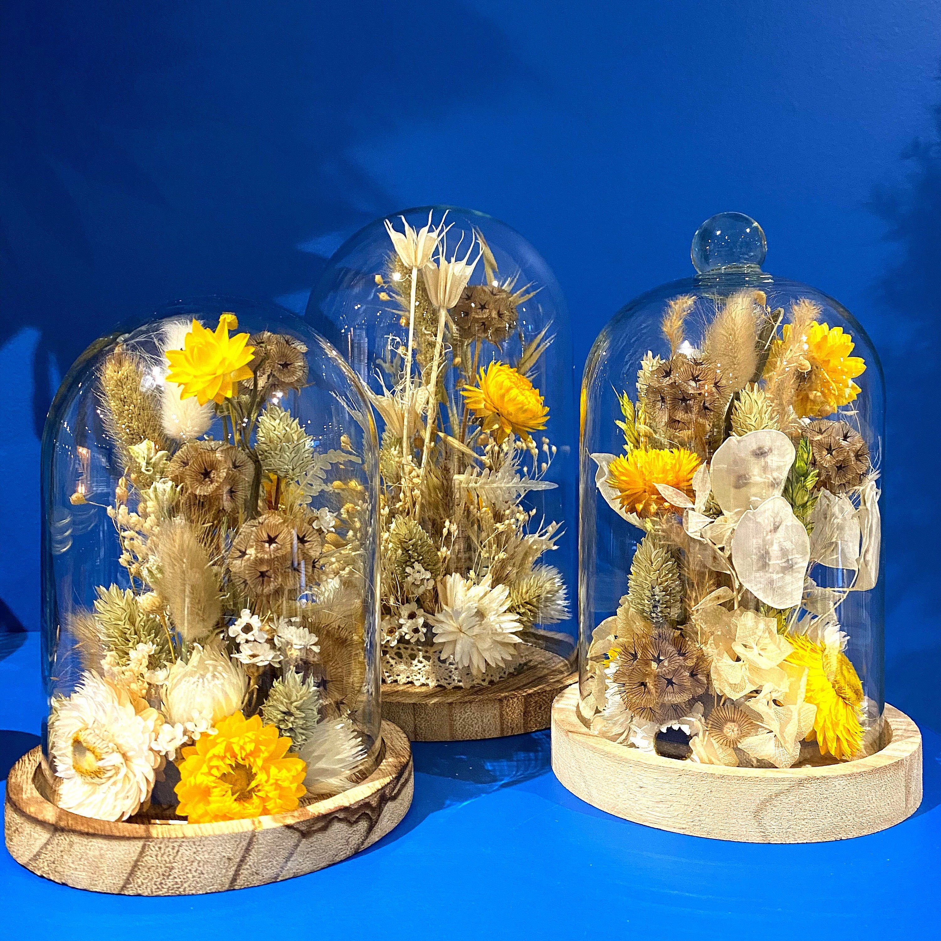 Cloche de Fleurs Séchées, Jeanne