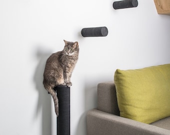 Black or white cat furniture, sisal cat scratcher, wall steps, shelves. Wooden modern design.