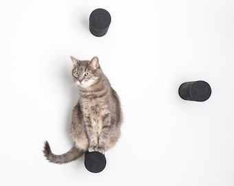 Set di mobili da parete per gatti. Scaletta, tiragraffi, amaca. Struttura per arrampicarsi in legno, nera e bianca.