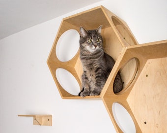 Cuccia per gatti esagonale: mensole da parete in legno, mobili moderni per gatti