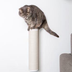 May include: A gray tabby cat scratching a beige sisal scratching post mounted on a white wall. The scratching post is cylindrical and has a white base.