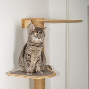 Puede incluir: Un gato atigrado gris se sienta en una plataforma de un &aacute;rbol para gatos de esquina. El &aacute;rbol para gatos est&aacute; hecho de madera y tiene un poste cubierto de sisal. La plataforma est&aacute; cubierta de una tela gris.