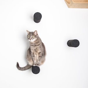 猫用壁掛け家具セット。猫用ステップ、猫用爪とぎ、猫用ハンモック。黒猫用家具。木製猫用家具。猫用クライマー、背の高い猫用爪とぎ