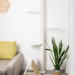 Puede incluir: &Aacute;rbol para gatos blanco con m&uacute;ltiples plataformas y un poste para rascar. Una casa para gatos blanca con una superficie para rascar de sisal est&aacute; en el suelo. Una planta serpiente en maceta y un cuenco doble de madera para comida de mascotas tambi&eacute;n est&aacute;n en el suelo. El texto "BUDA Pet's own space" est&aacute; en el suelo.