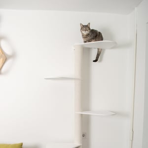 Puede incluir: Un &aacute;rbol para gatos blanco con cuatro plataformas y un poste para rascar. El &aacute;rbol para gatos est&aacute; en una esquina de una habitaci&oacute;n con paredes blancas y un suelo marr&oacute;n claro. Un gato est&aacute; sentado en la plataforma superior.