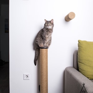 Escalera de cuerda de Sisal para gatos, poste rascador de escalón, muebles  para mascotas, juguetes para gatitos, torre de árbol, varios tamaños